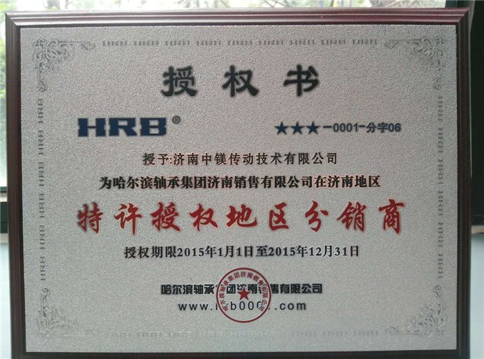 哈爾濱軸承產(chǎn)品及全國(guó)服務(wù)網(wǎng)絡(luò) 聚焦重慶與濟(jì)南中鎂的專業(yè)咨詢