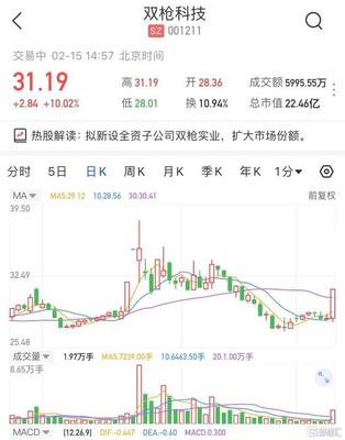 A股異動(dòng) 雙槍科技(001211.SZ)漲停 擬新設(shè)全資子公司雙槍實(shí)業(yè)